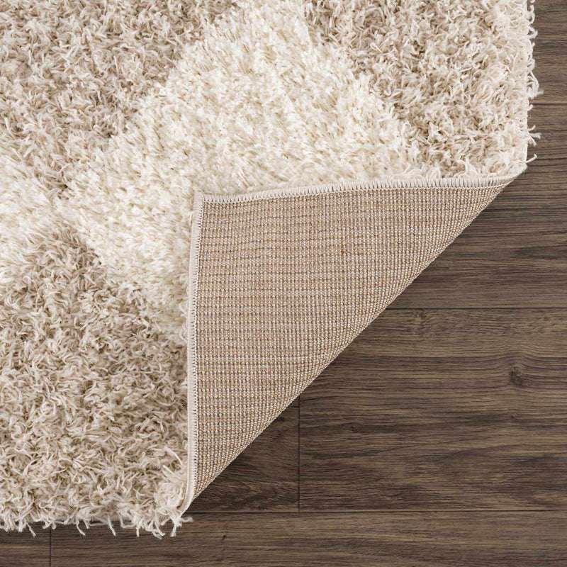Zahur Cream & Beige Diamond Area Rug by Hauteloom
