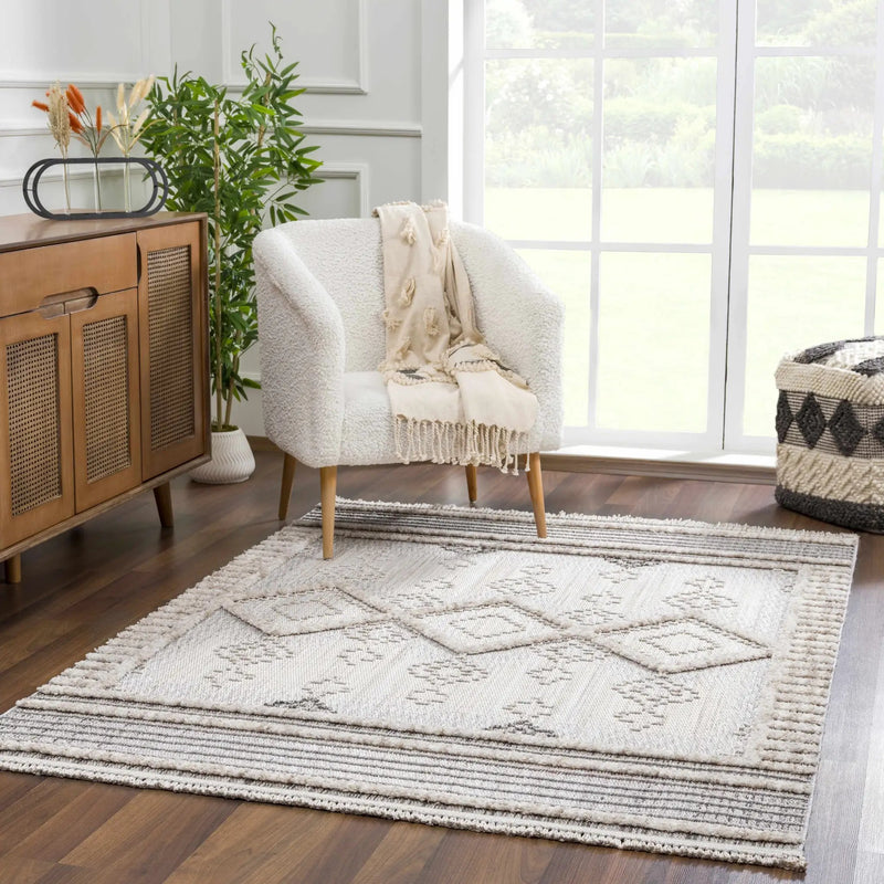 Amaga Area Rug by Hauteloom