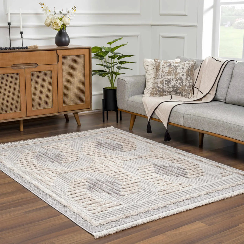 Muricay High-Low Rustic Rug - Clearance by Boutique Rugs