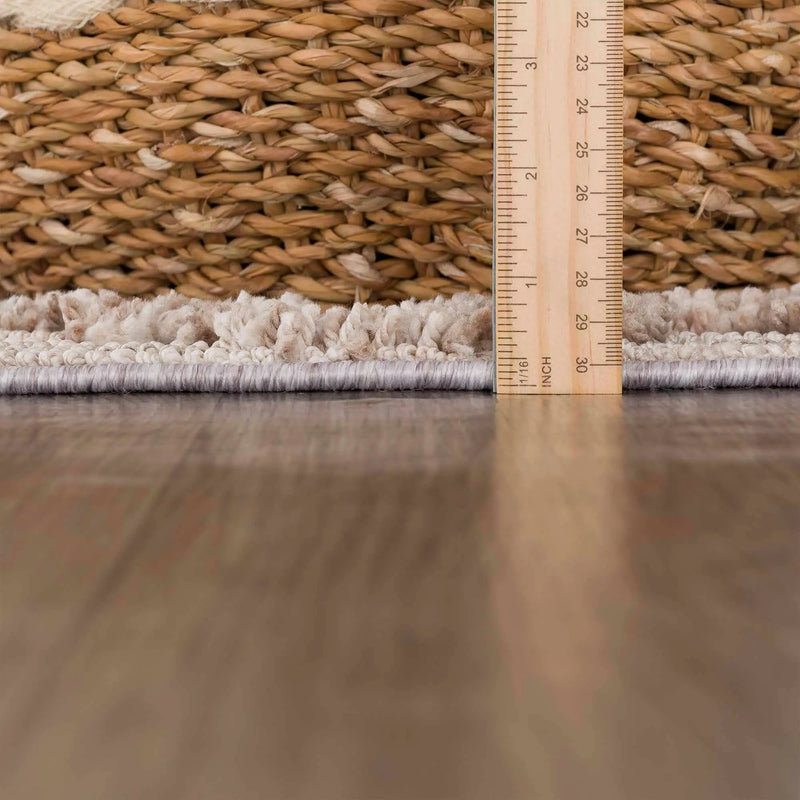 Ampusungan Area Rug by Boutique Rugs