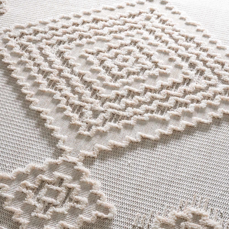 Rosales High-Low Rustic Rug by Boutique Rugs