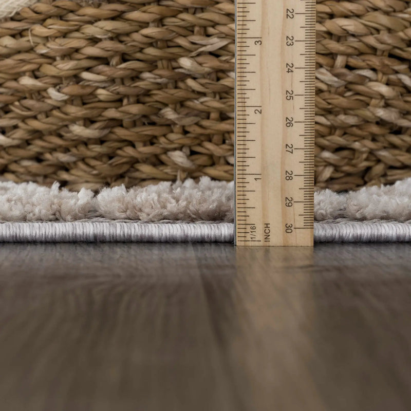 Agoo Area Rug by Hauteloom