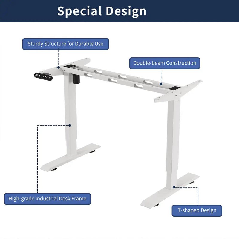 55"×24" Light Electric Standing Desk by HouseOfZazla