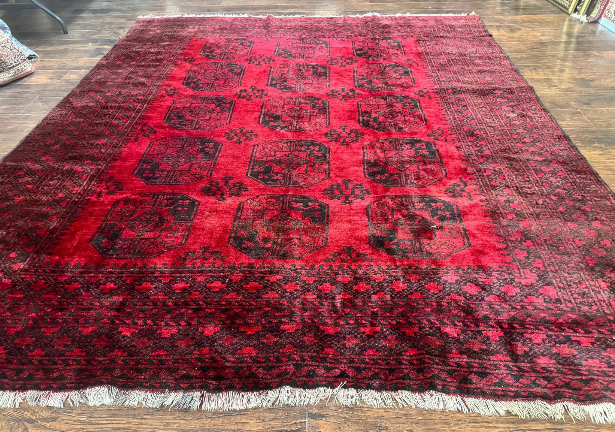 Afghan Turkoman Rug 9x10, Red Beshir Carpet, Tribal, Wool, Antique by Jewel Rugs