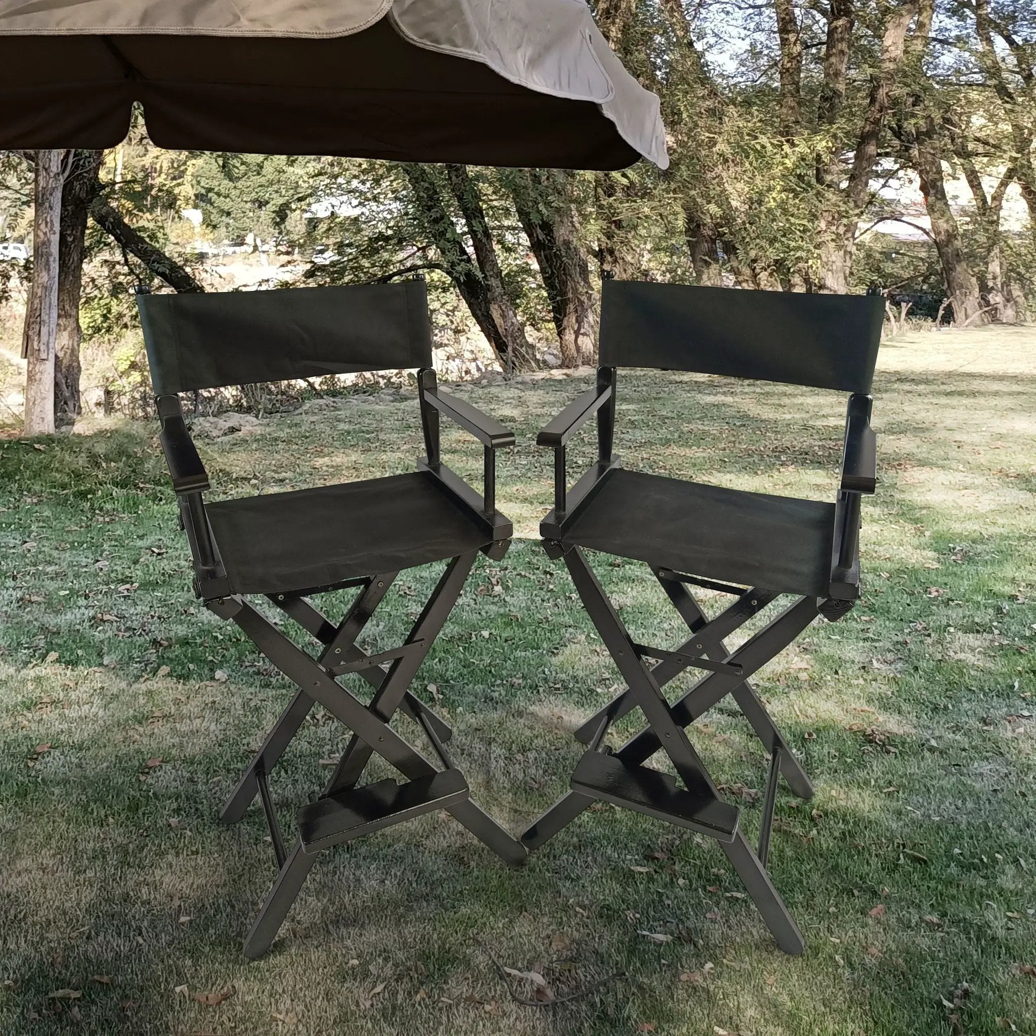 Casual Home Director's Chair, Foldable Style, Suitable For Adults (Set of 2) - Black by HouseOfZazla