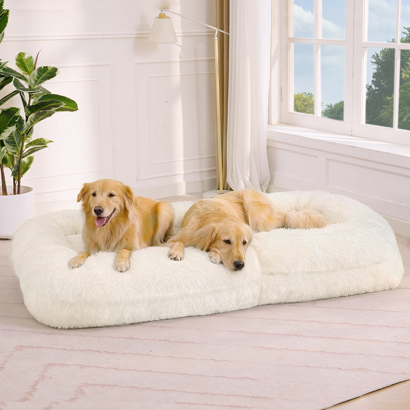 Human Dog Bed & Lazy Sofa by HouseOfZazla