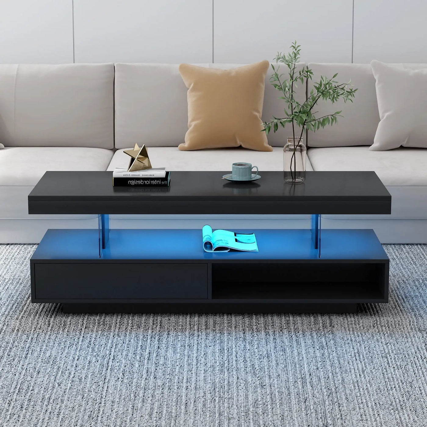 LED Coffee Table With 2 Drawers And Display Shelves by HouseOfZazla