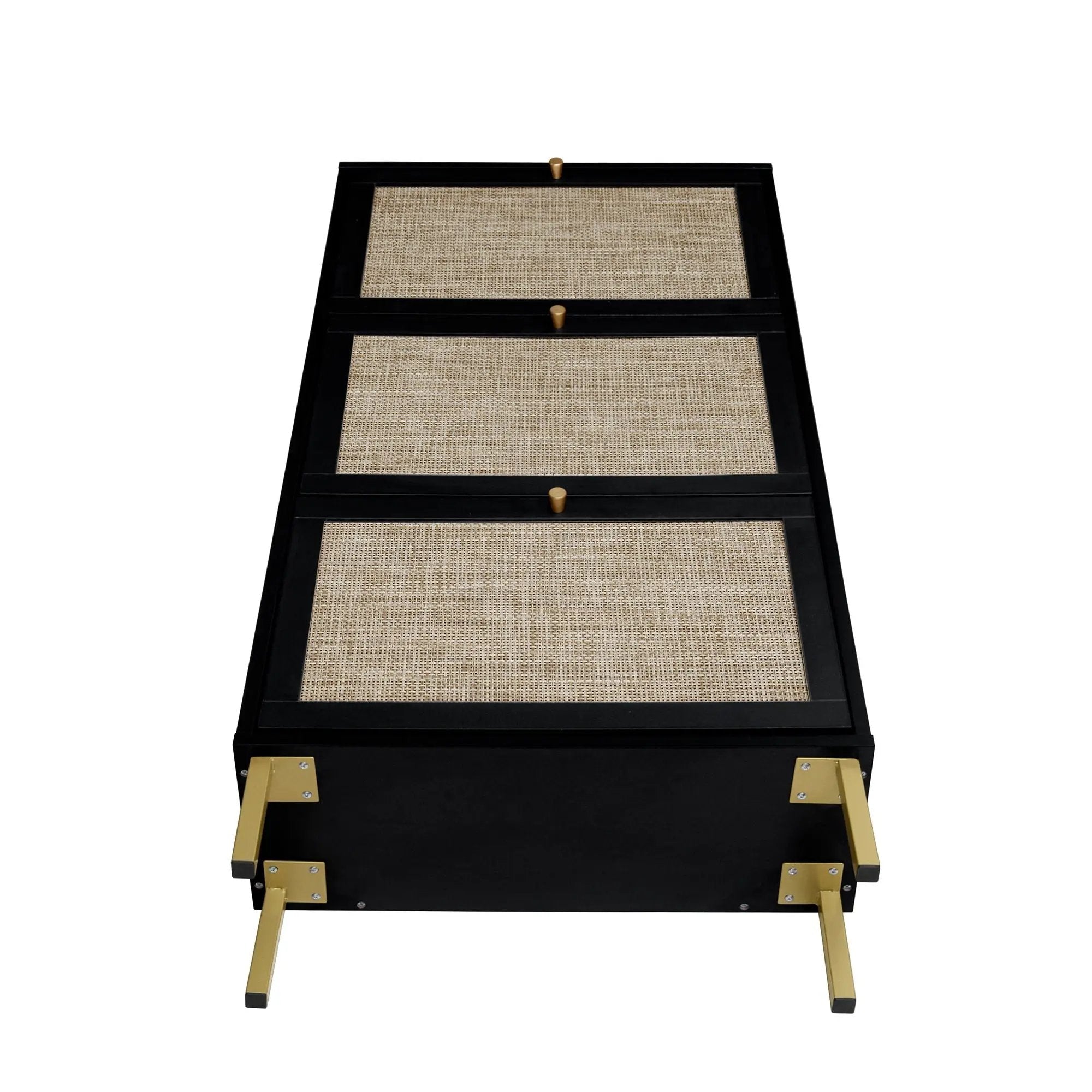 Modern Rattan 3 Door Shoe Rack Cabinet for Entryway by HouseOfZazla