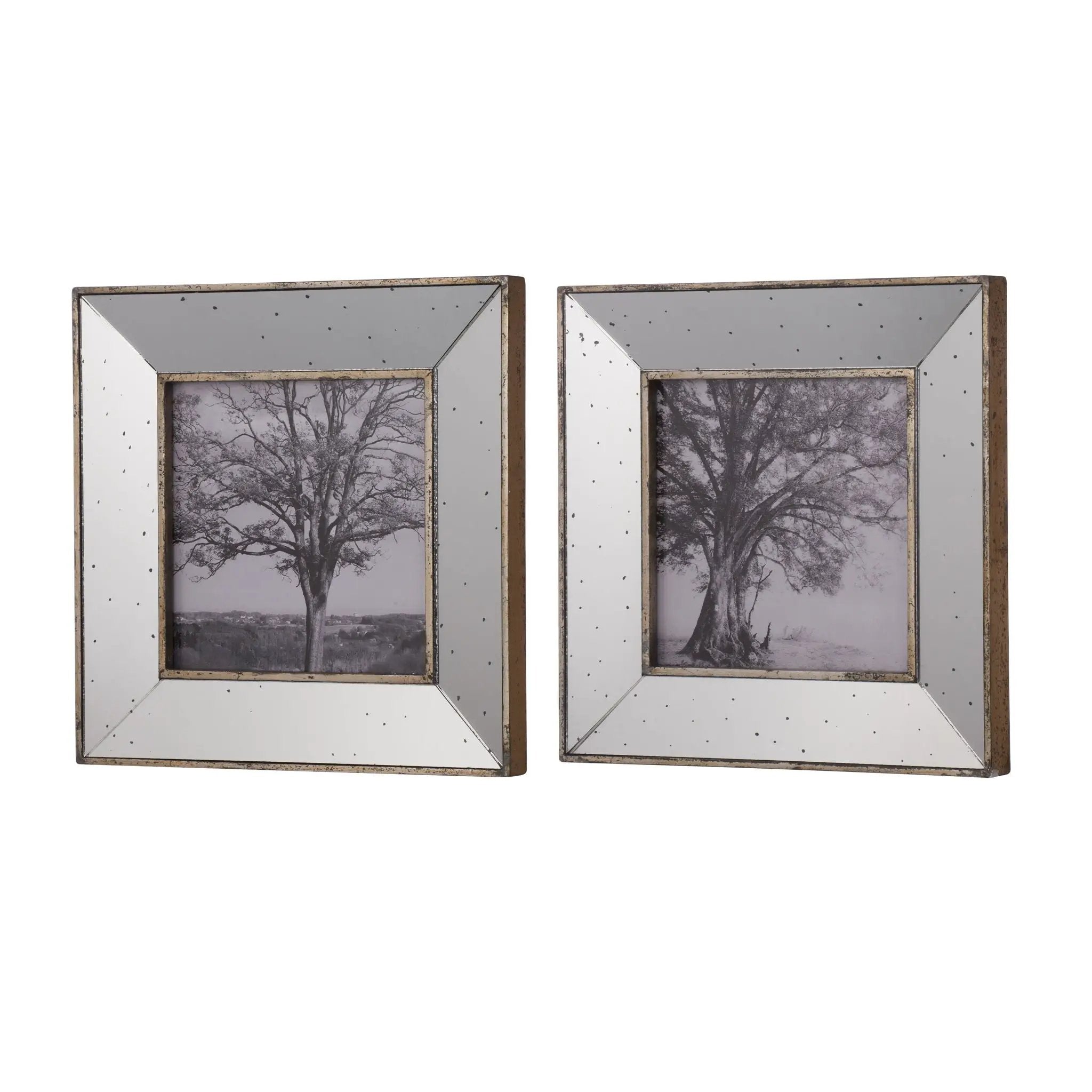 Vintage Reflective Picture Frames (Set of 2) - Silver by HouseOfZazla