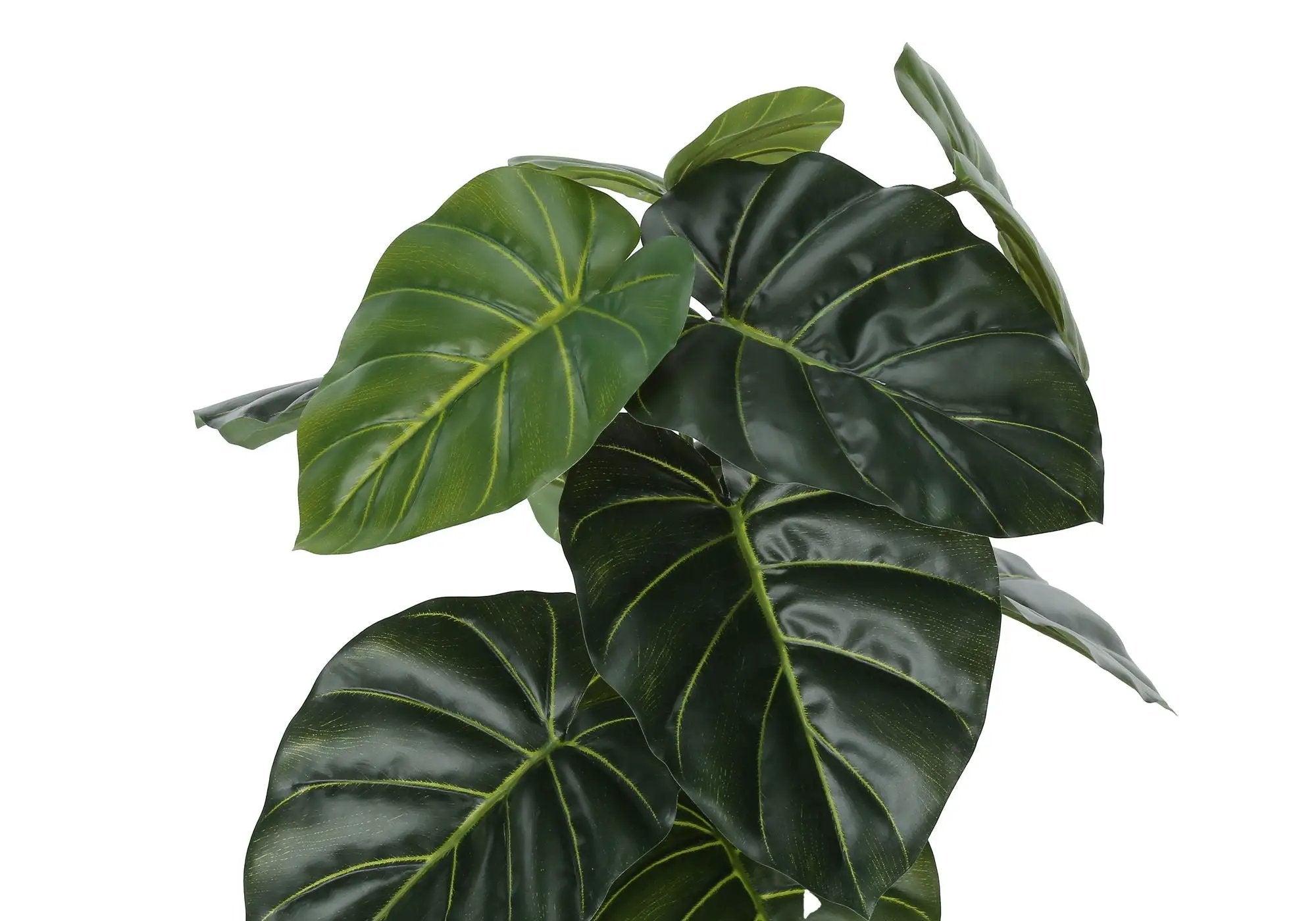 24" Tall, Artificial Plant, Alocasia, Indoor, Faux, Fake, Table, Greenery, Potted, Real Touch, Decorative - Green / Black by Unique Piece Furniture