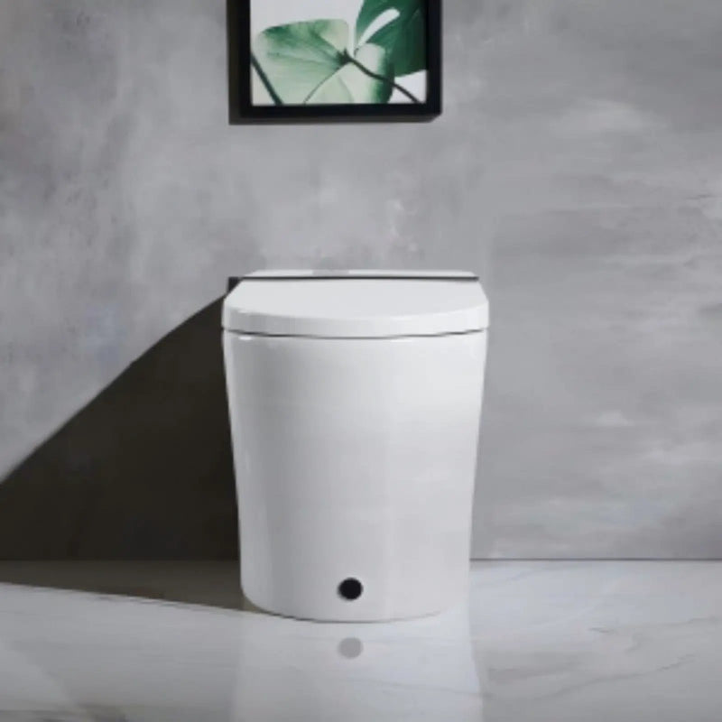 Smart Toilet With Bidet Seat Built In, Auto Open / Close Seat, Foot Sensor, LED Display - White by HouseOfZazla