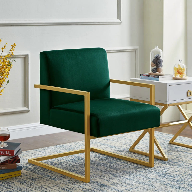 Fashion Velvet Accent Chair by HouseOfZazla