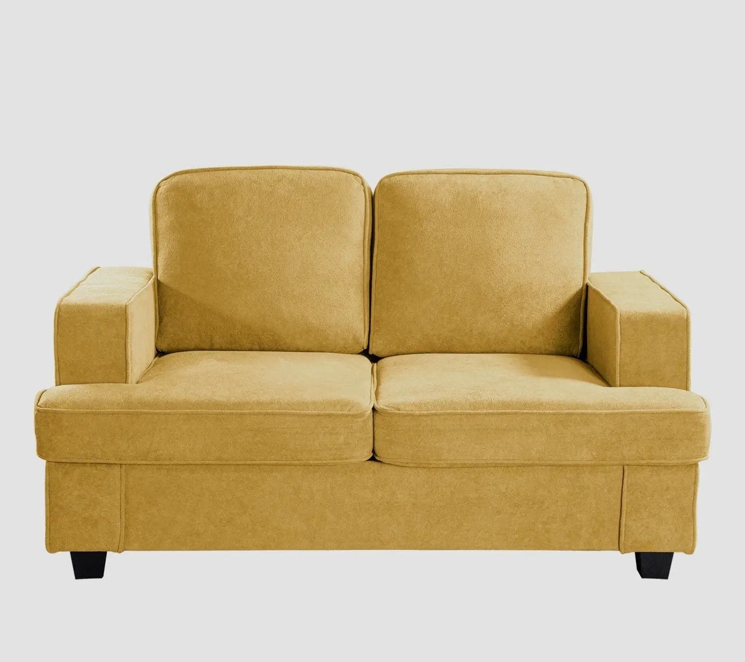 Modern Loveseat, Comfortable 2 Seater Couch With Deep Seating, Loose Back Cushions, Wide Arms by HouseOfZazla