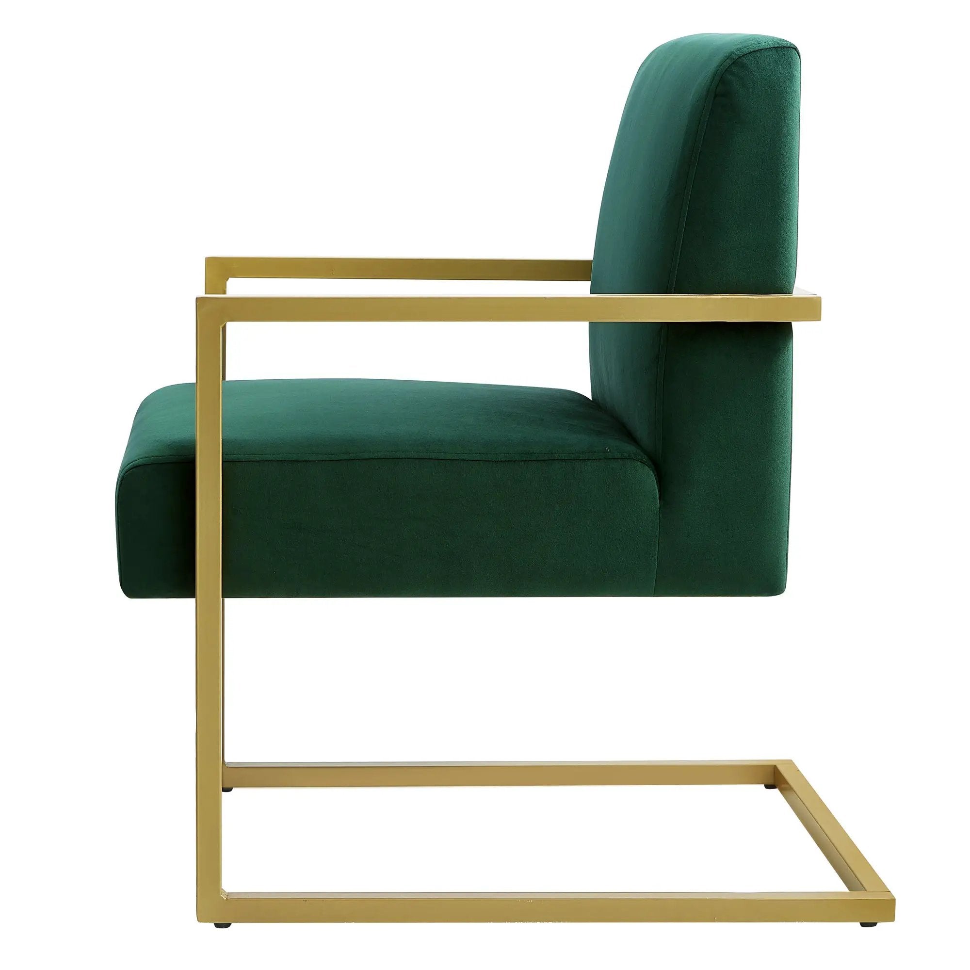 Fashion Velvet Accent Chair by HouseOfZazla