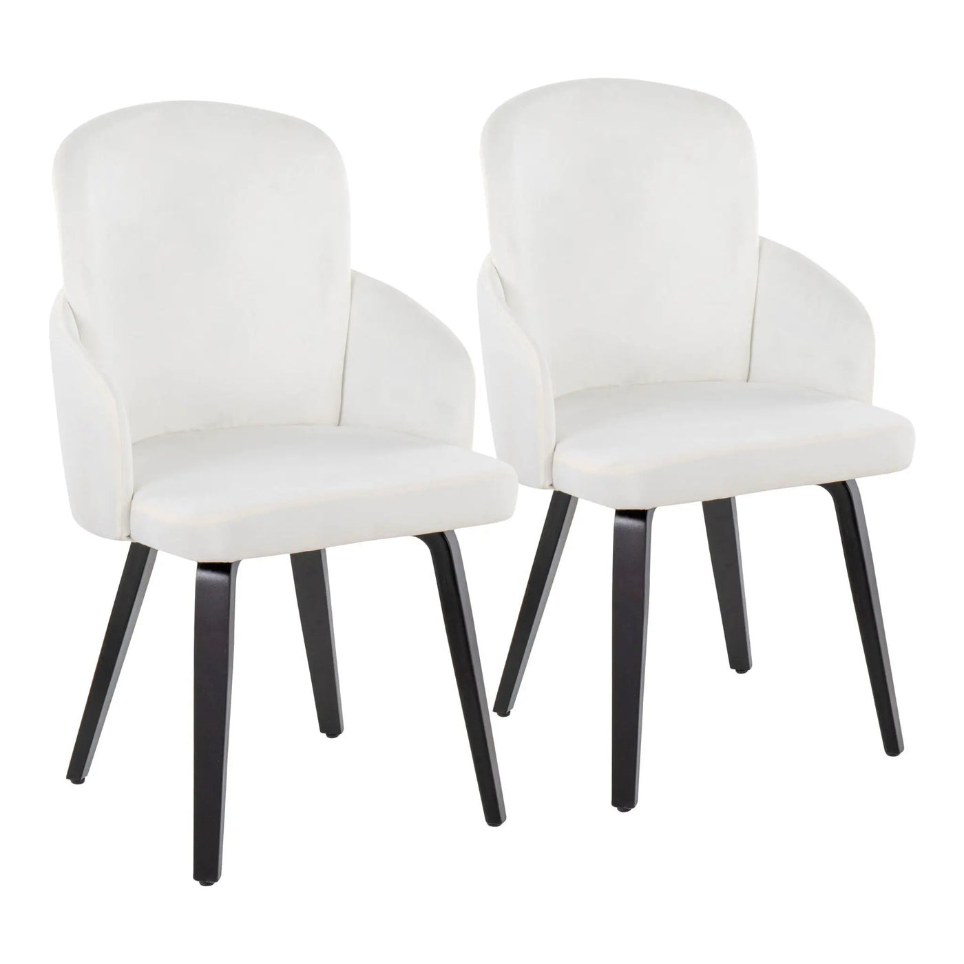 Dahlia - Contemporary Elegant Dining Chair (Set of 2) by HouseOfZazla