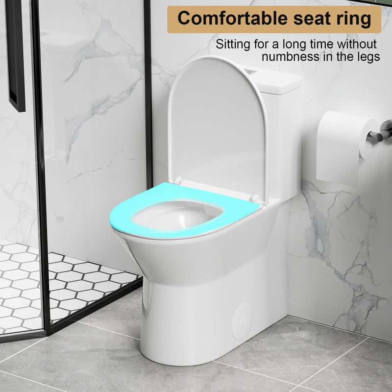 1 Piece Toilet With Dual Flush & Rimless Bowl - Glossy White by HouseOfZazla