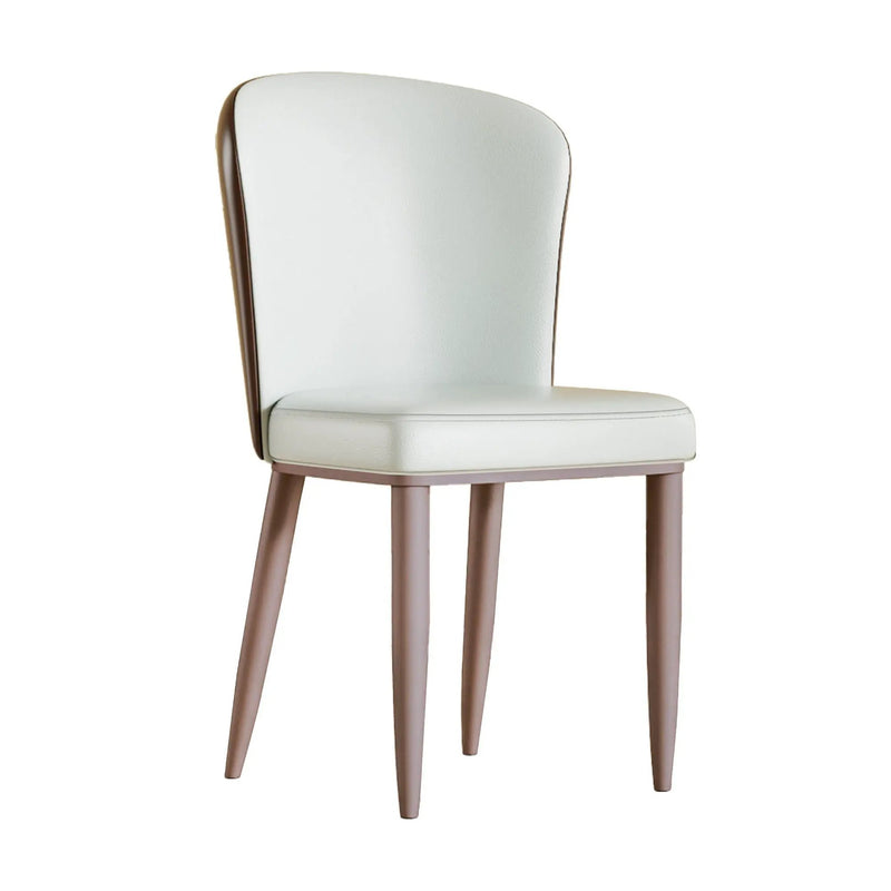 Dining Chair With Carbon Steel Legs, Comfortable Seating, (Set of 2) - White by HouseOfZazla