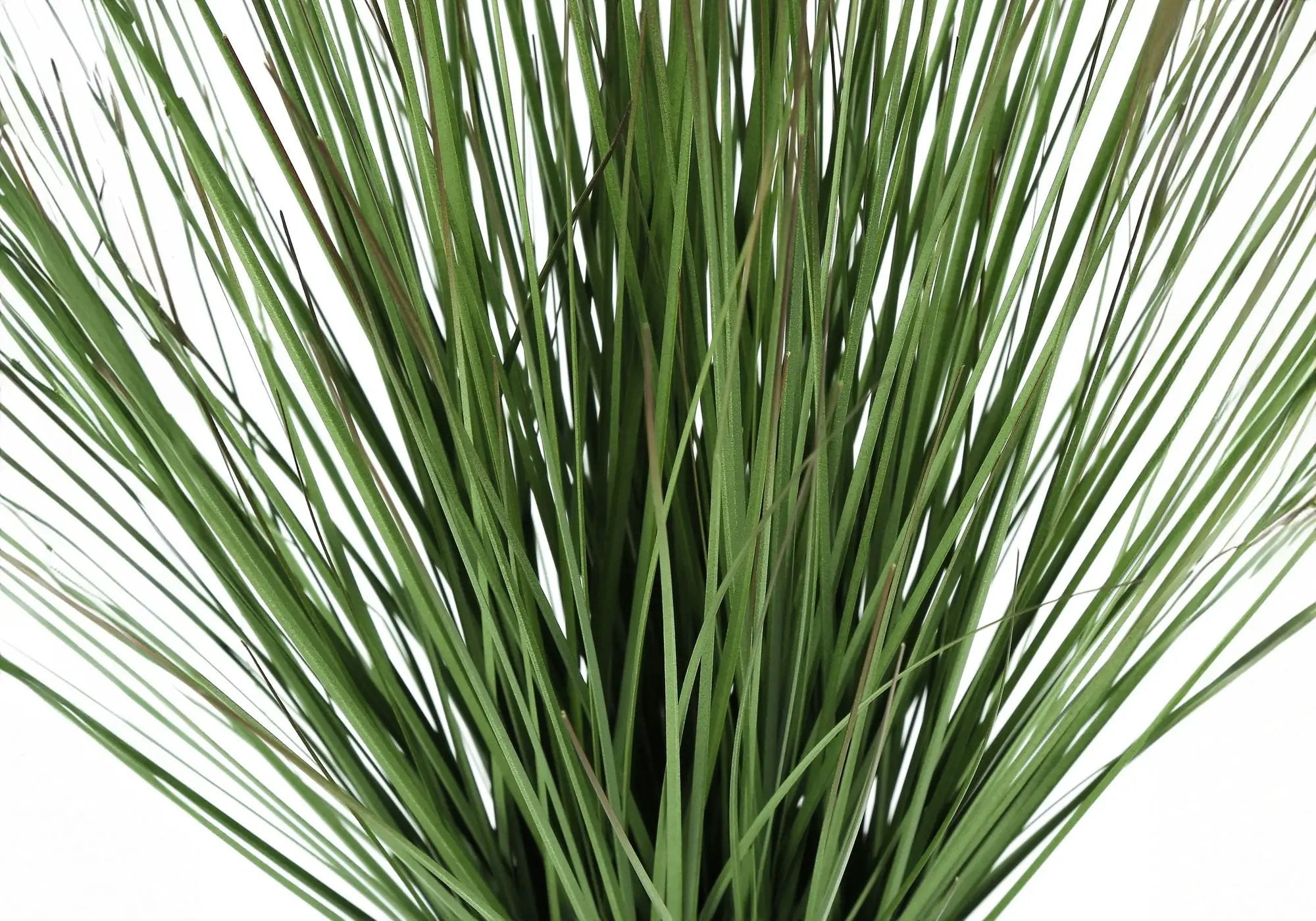 21" Tall, Artificial Plant, Grass, Indoor, Faux, Fake, Table, Greenery, Potted, Real Touch, Decorative - Green / White by Unique Piece Furniture