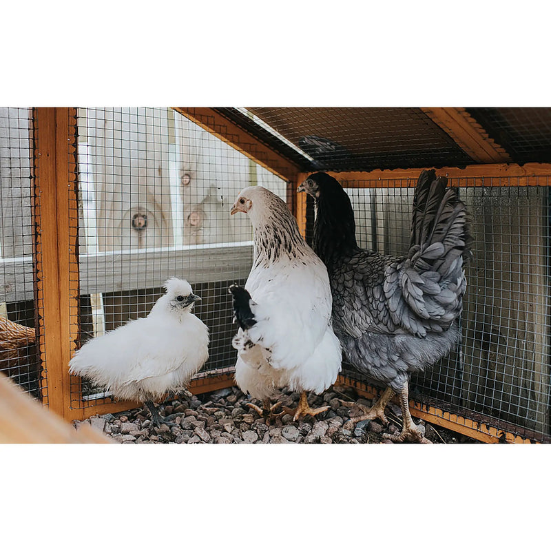 Wire Mesh Fence Roll 60in x 50ft, 1/2in x 1/2in 19GA Galvanized Steel Poultry Netting by HouseOfZazla