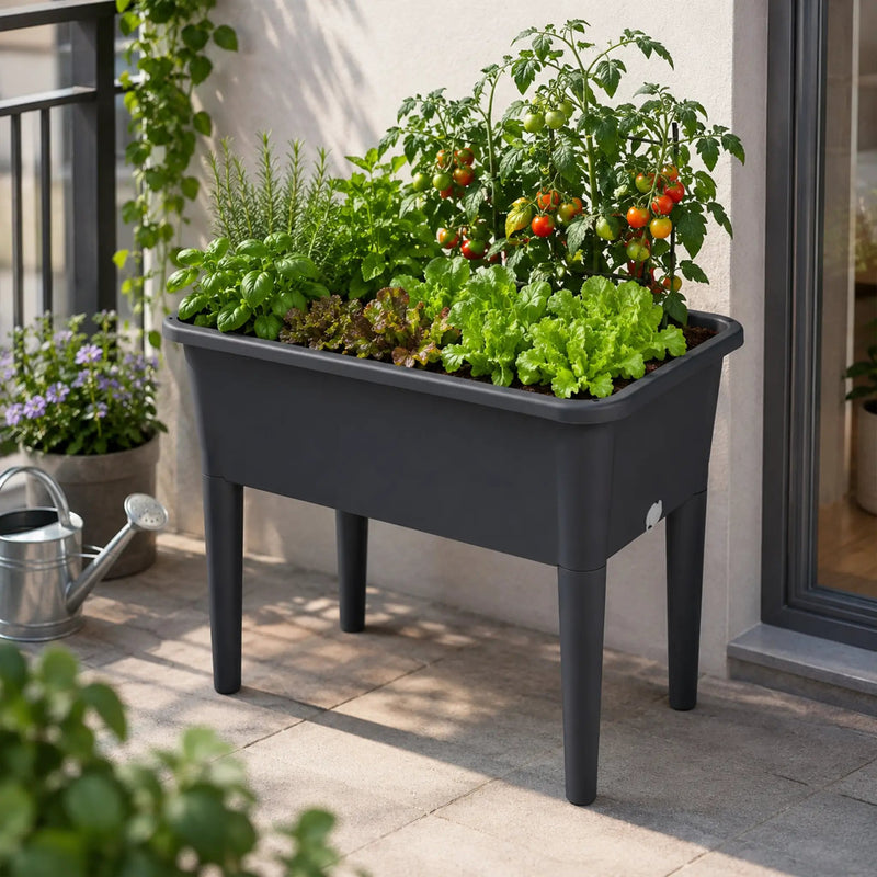 Raised Garden Bed with Ventilated Transparent Greenhouse Lid by HouseOfZazla