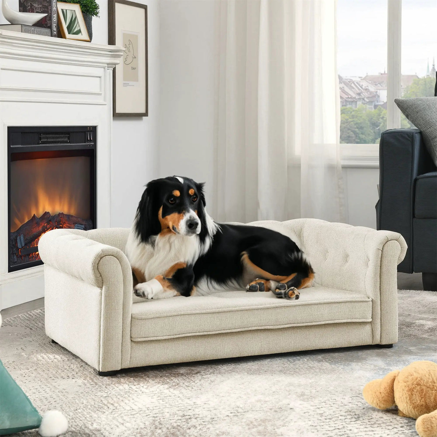 Modern Elegant Rectangle Pet Bed, Durable Elevated Dog Sofa by HouseOfZazla