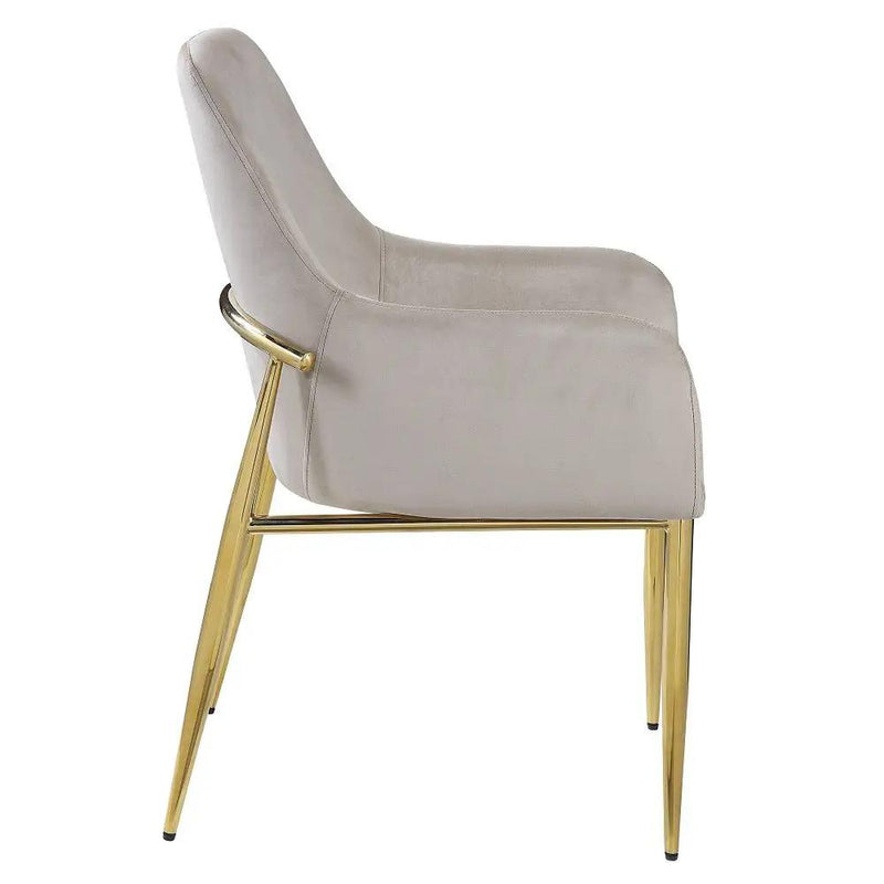 Barnard - Side Chair (Set of 2) - Gray Velvet & Mirrored Gold by Unique Piece Furniture