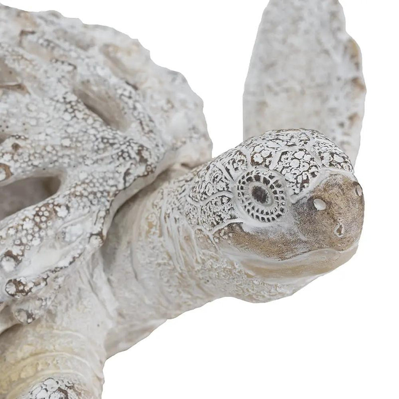 Decorative Polyresin Turtle Statue by HouseOfZazla