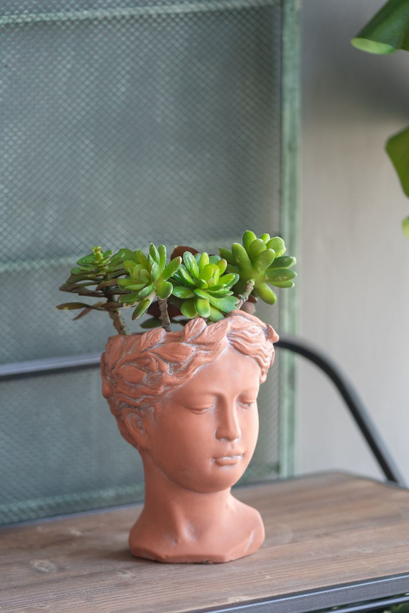 D6X9" Visage Head Bust Planter - Brown by HouseOfZazla