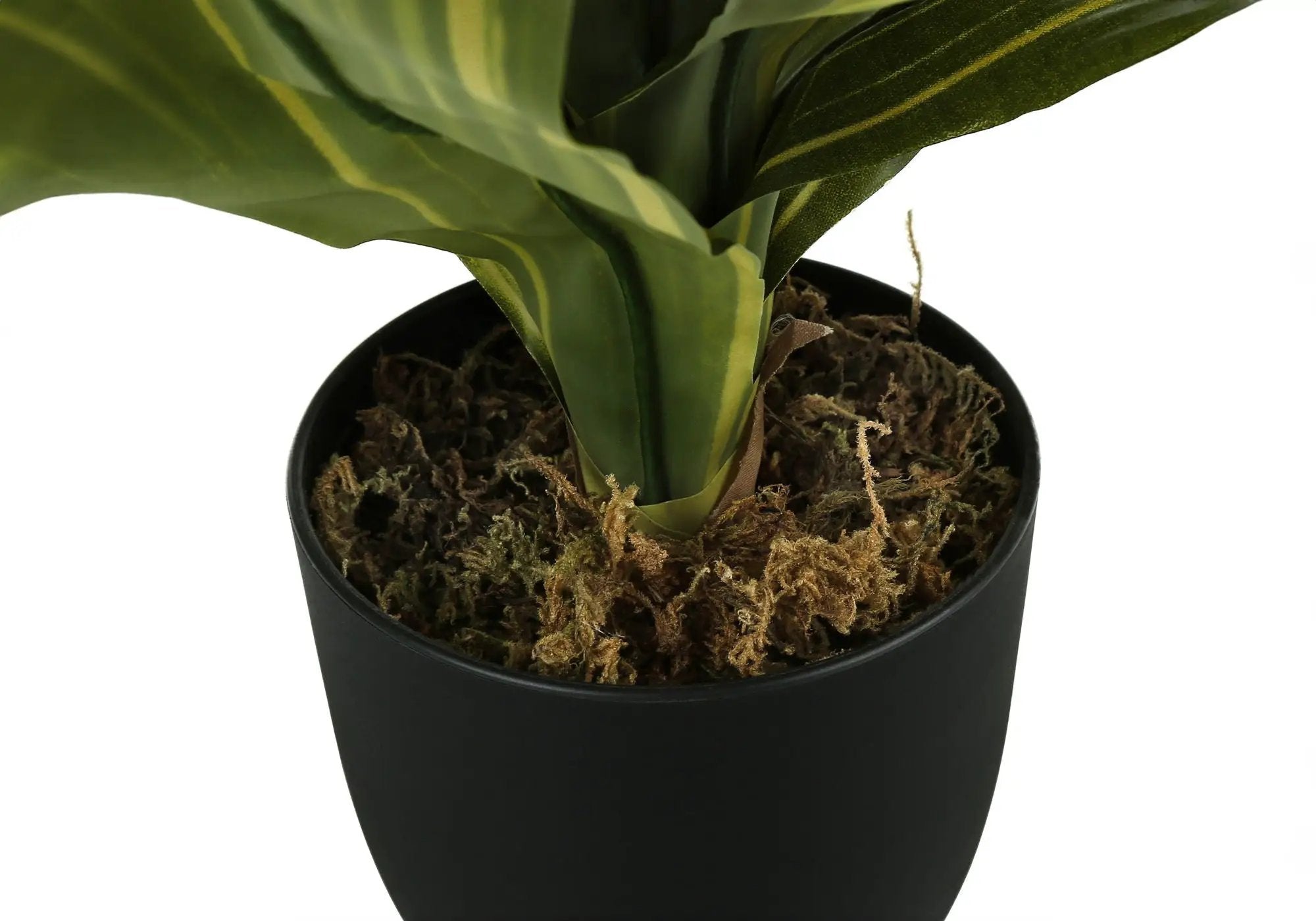 17" Tall, Artificial Plant, Dracaena, Indoor, Faux, Fake, Table, Greenery, Potted, Real Touch, Decorative - Green / Black by Unique Piece Furniture
