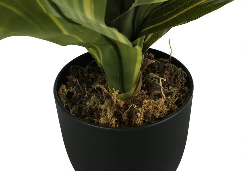 17" Tall, Artificial Plant, Dracaena, Indoor, Faux, Fake, Table, Greenery, Potted, Real Touch, Decorative - Green / Black by Unique Piece Furniture