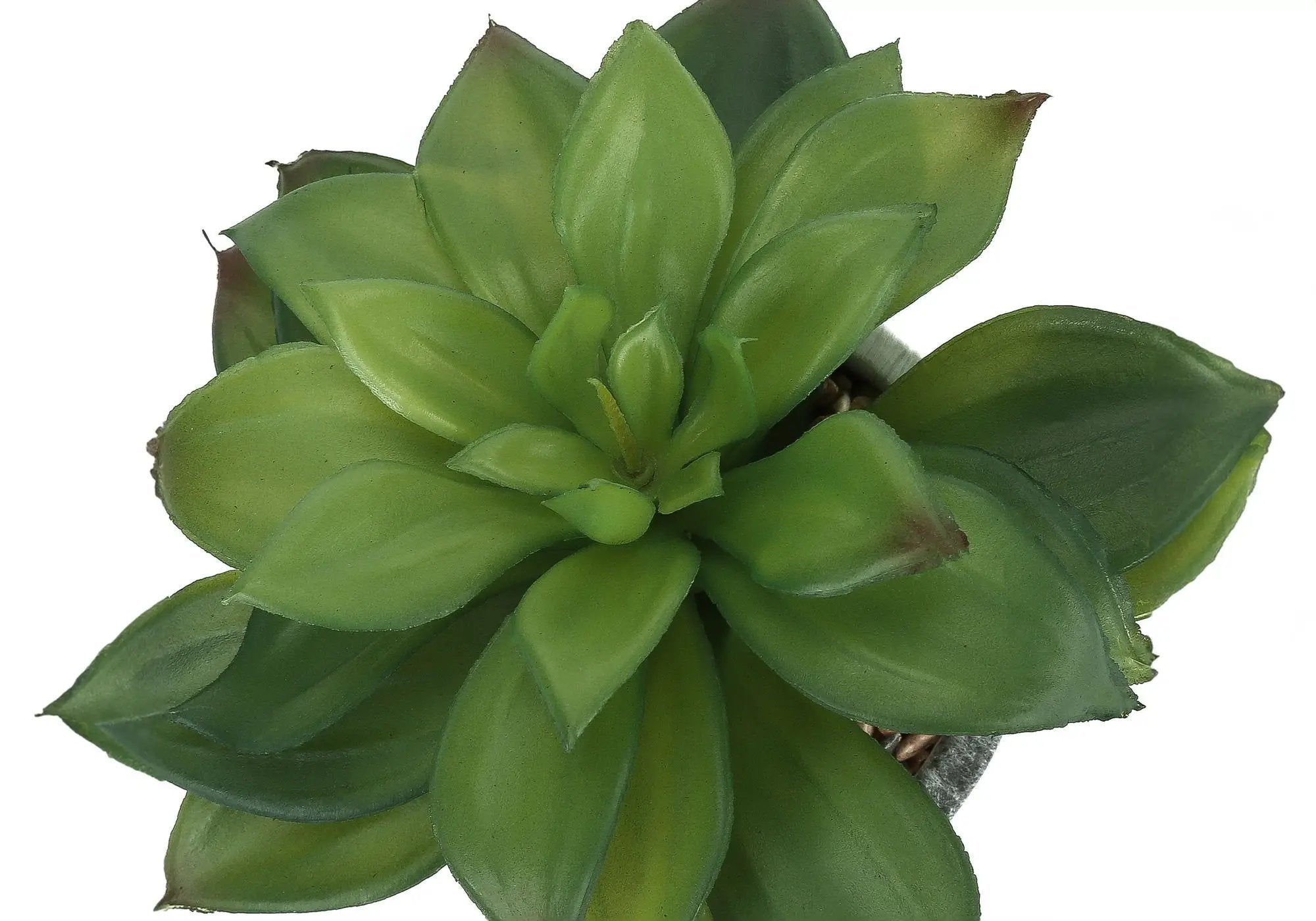 6" Tall, Artificial Plant, Succulent, Indoor, Faux, Fake, Table, Greenery, Potted, Decorative (Set of 2) - Green / Gray by Unique Piece Furniture