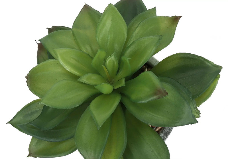 6" Tall, Artificial Plant, Succulent, Indoor, Faux, Fake, Table, Greenery, Potted, Decorative (Set of 2) - Green / Gray by Unique Piece Furniture