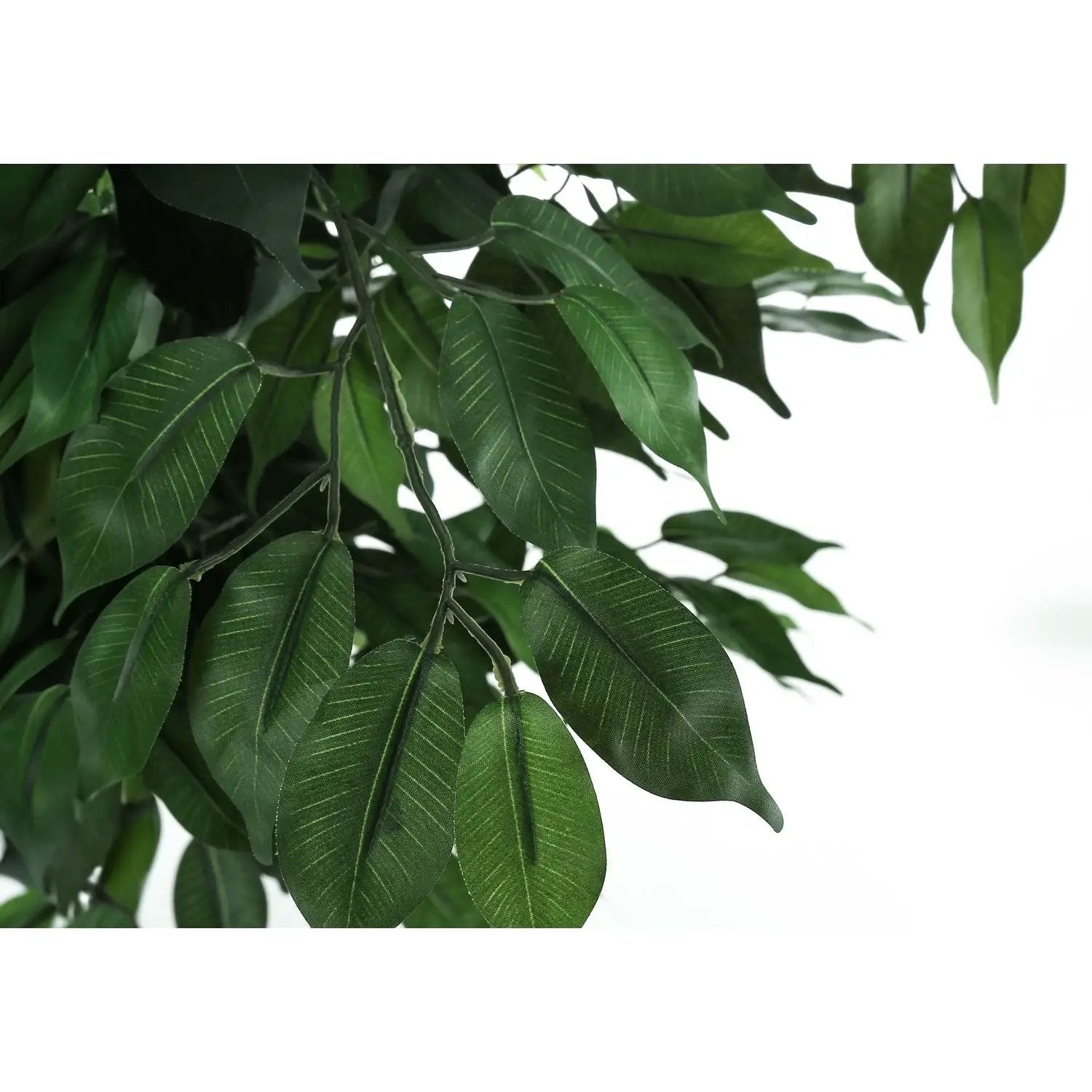 58" Tall, Artificial Plant, Ficus Tree, Indoor, Faux, Fake, Floor, Greenery, Potted, Decorative - Green / Black by Unique Piece Furniture