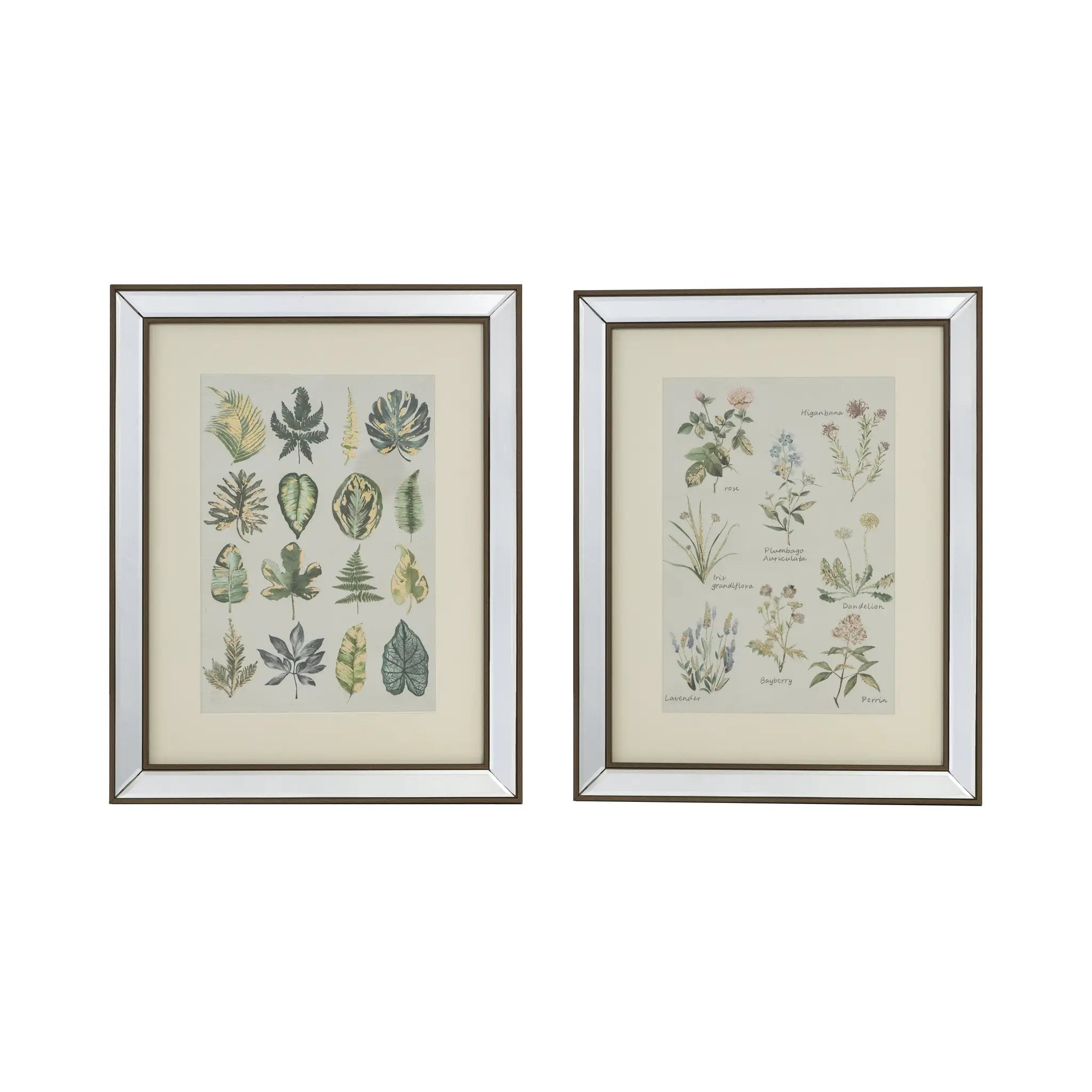 Set of 2 Liana Mirror Framed Wall Art by HouseOfZazla