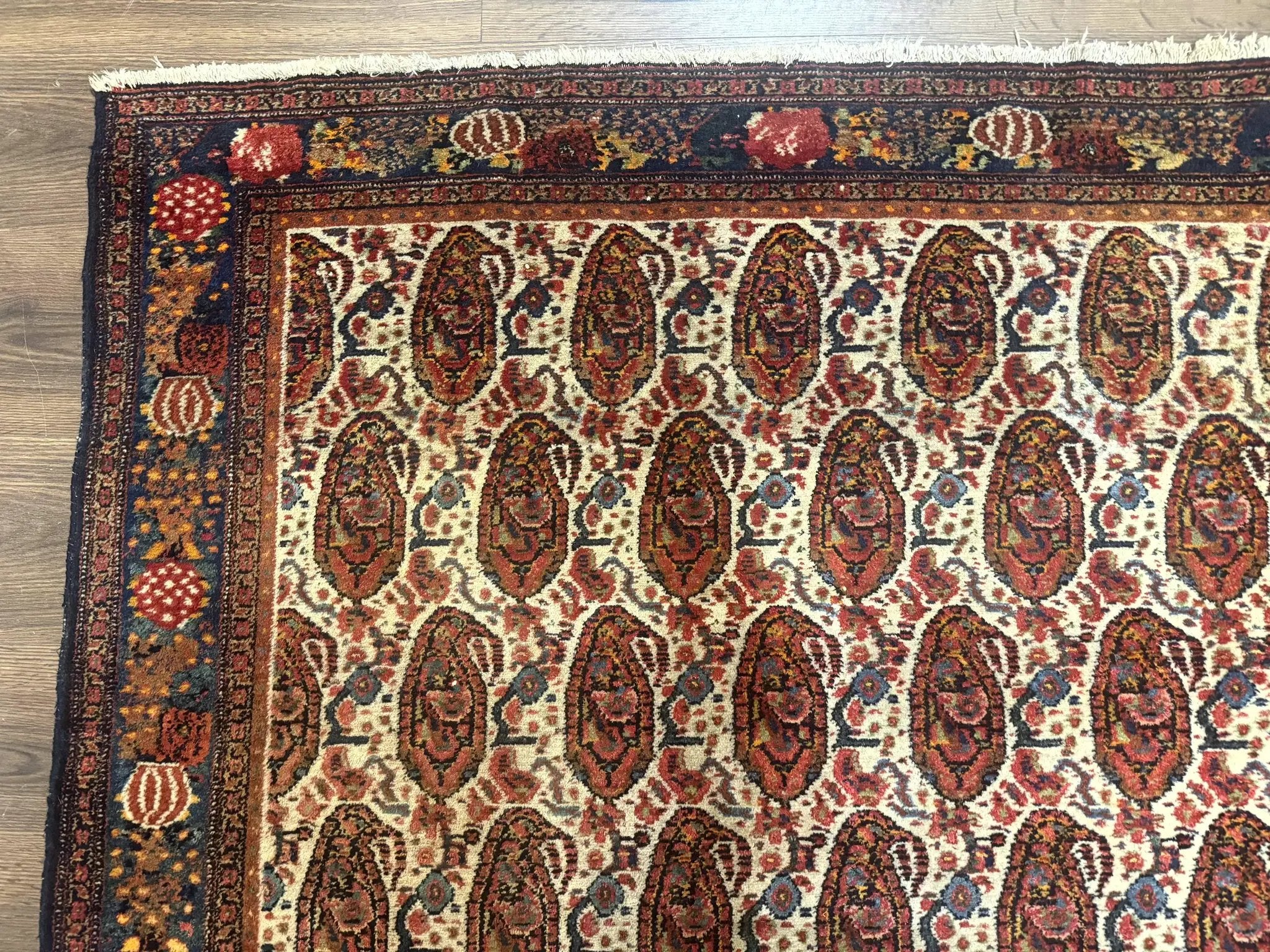 Antique Persian Kurdish Senneh Rug 4.6 x 6.5, Repeated Paisely Boteh Design, Handmade by Jewel Rugs
