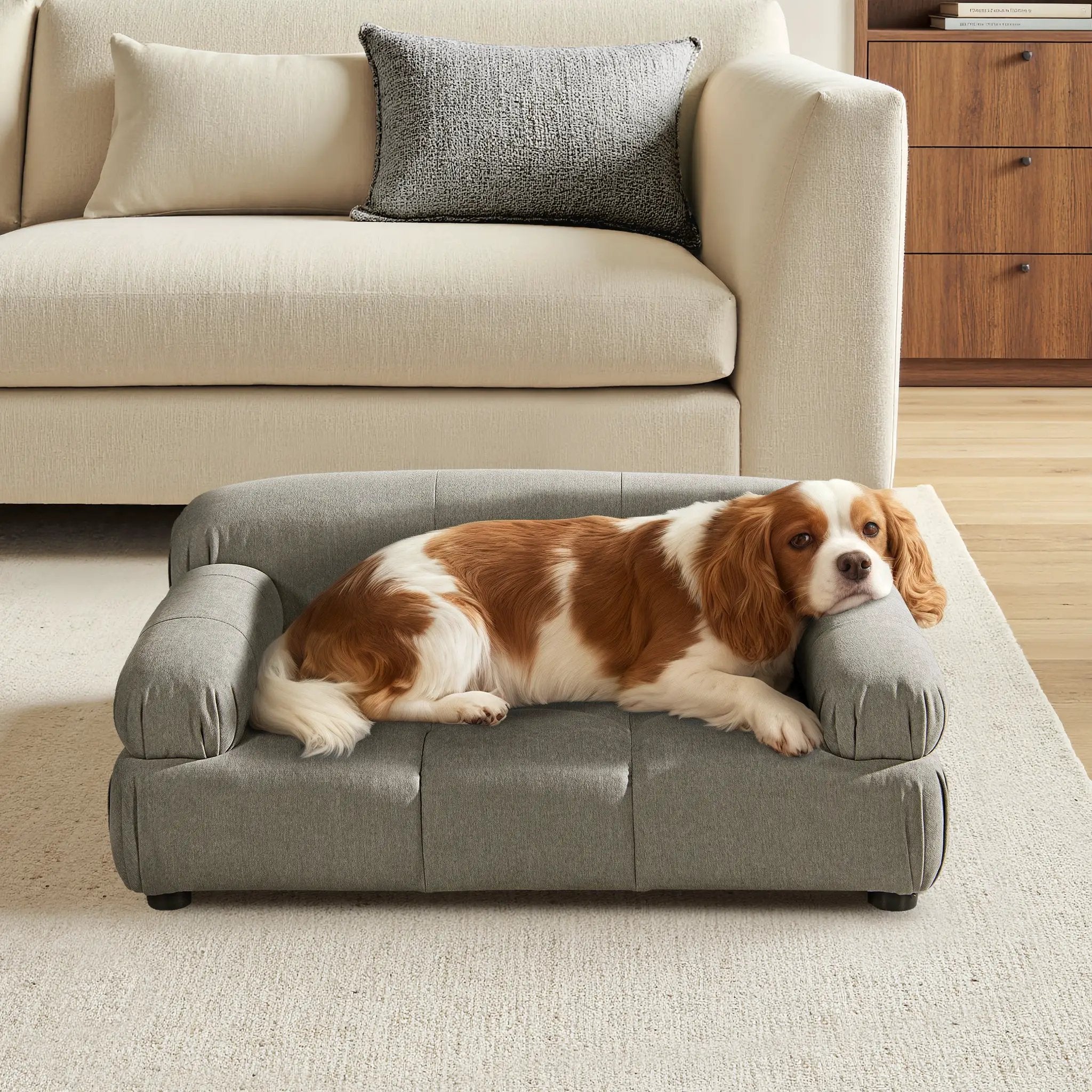 Marcel Upholstered Modern Pet Bed, Small to Medium Dog or Cat Uptown Gray Performance Velvet by HouseOfZazla