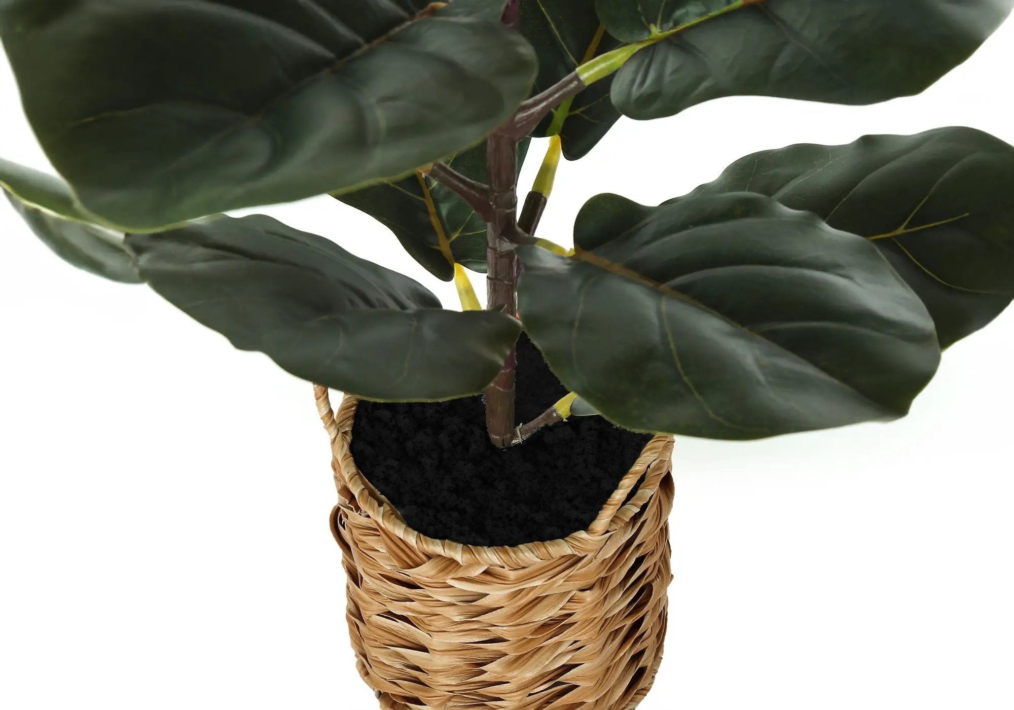 28" Tall, Artificial Plant, Fiddle Tree, Indoor, Faux, Fake, Floor, Greenery, Potted, Real Touch, Decorative - Green / Beige by Unique Piece Furniture