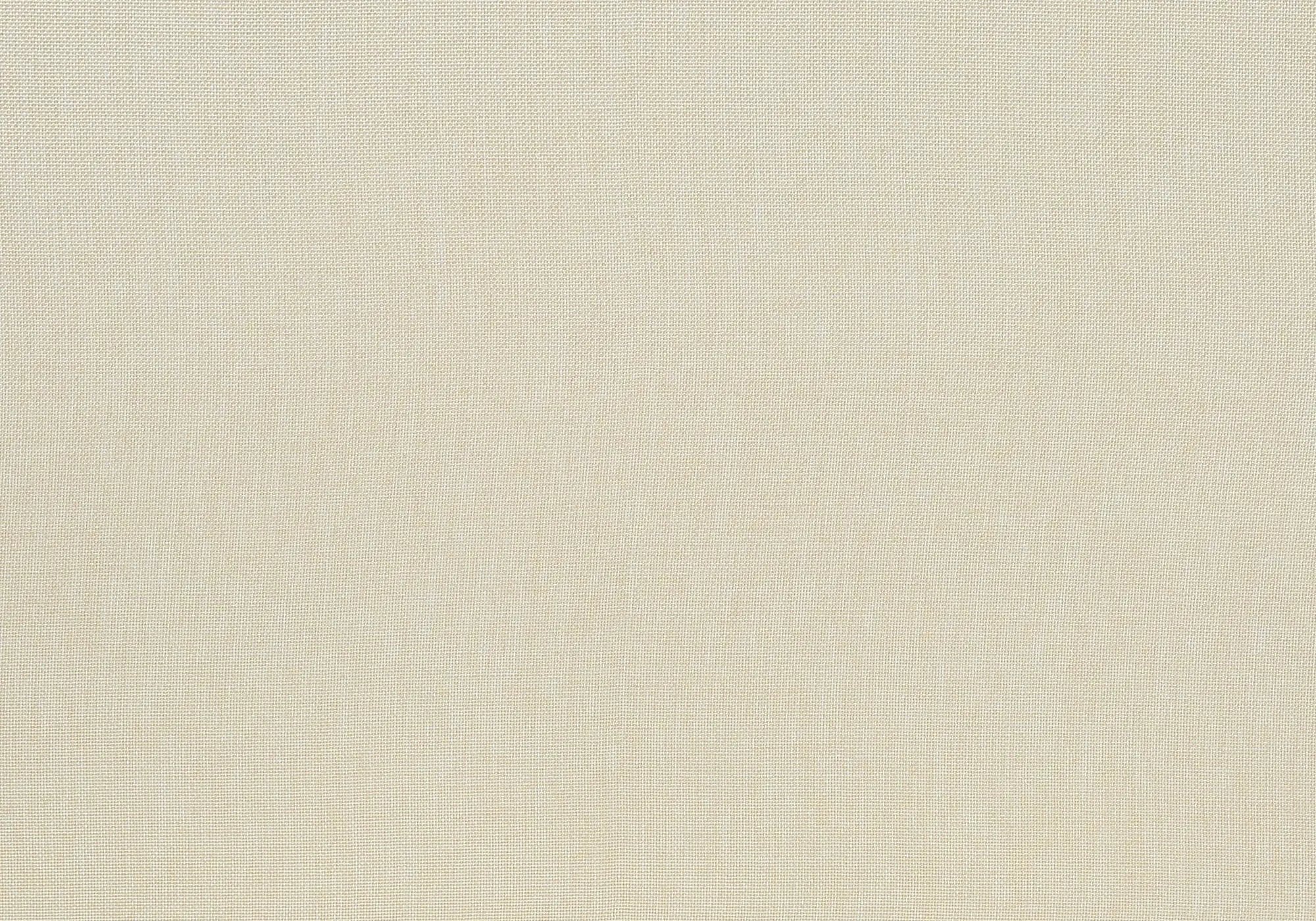 Dining Chair, Upholstered, Dining Room, Transitional (Set of 2) - Cream by HouseOfZazla