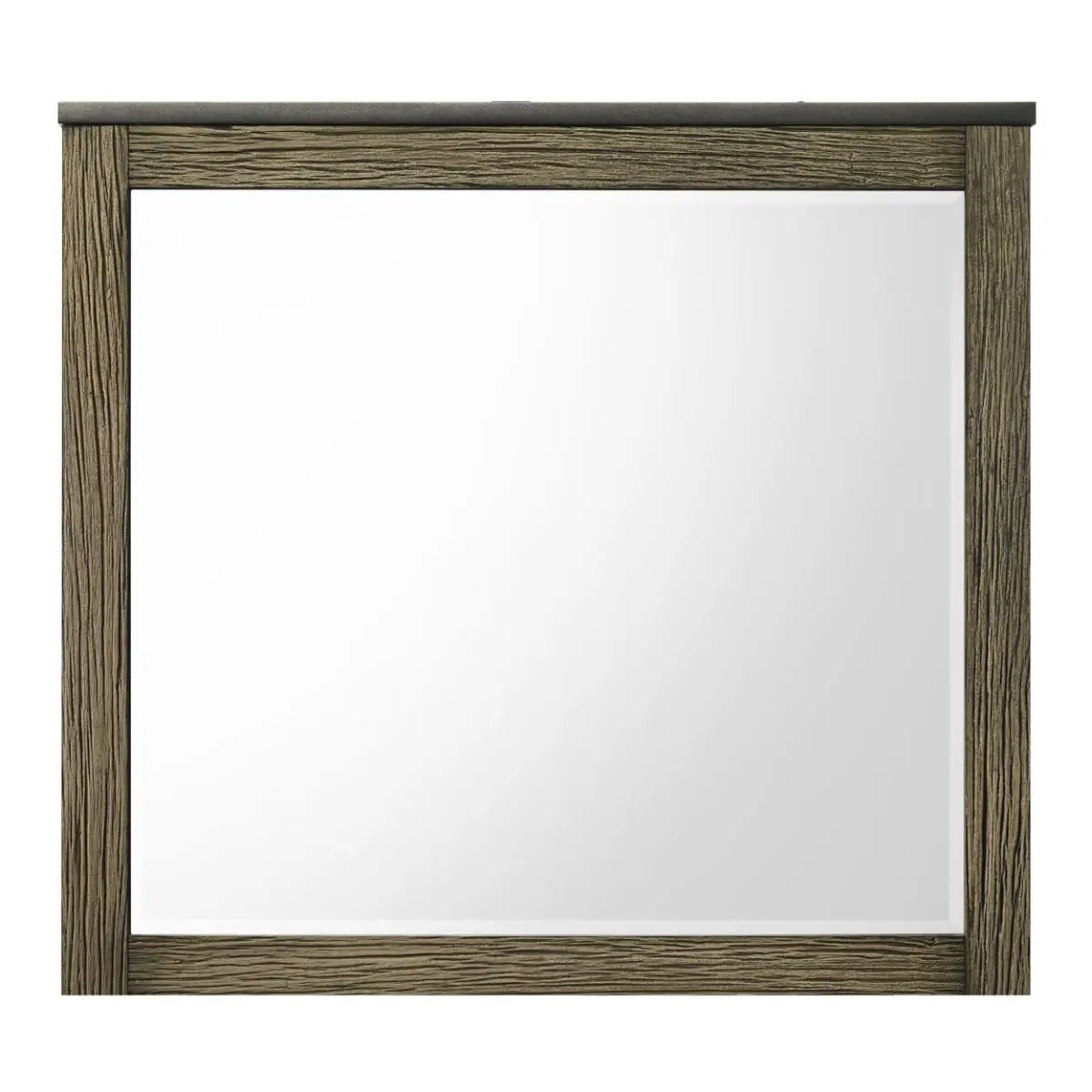 Lance - Mirror - Tree Bark by Unique Piece Furniture