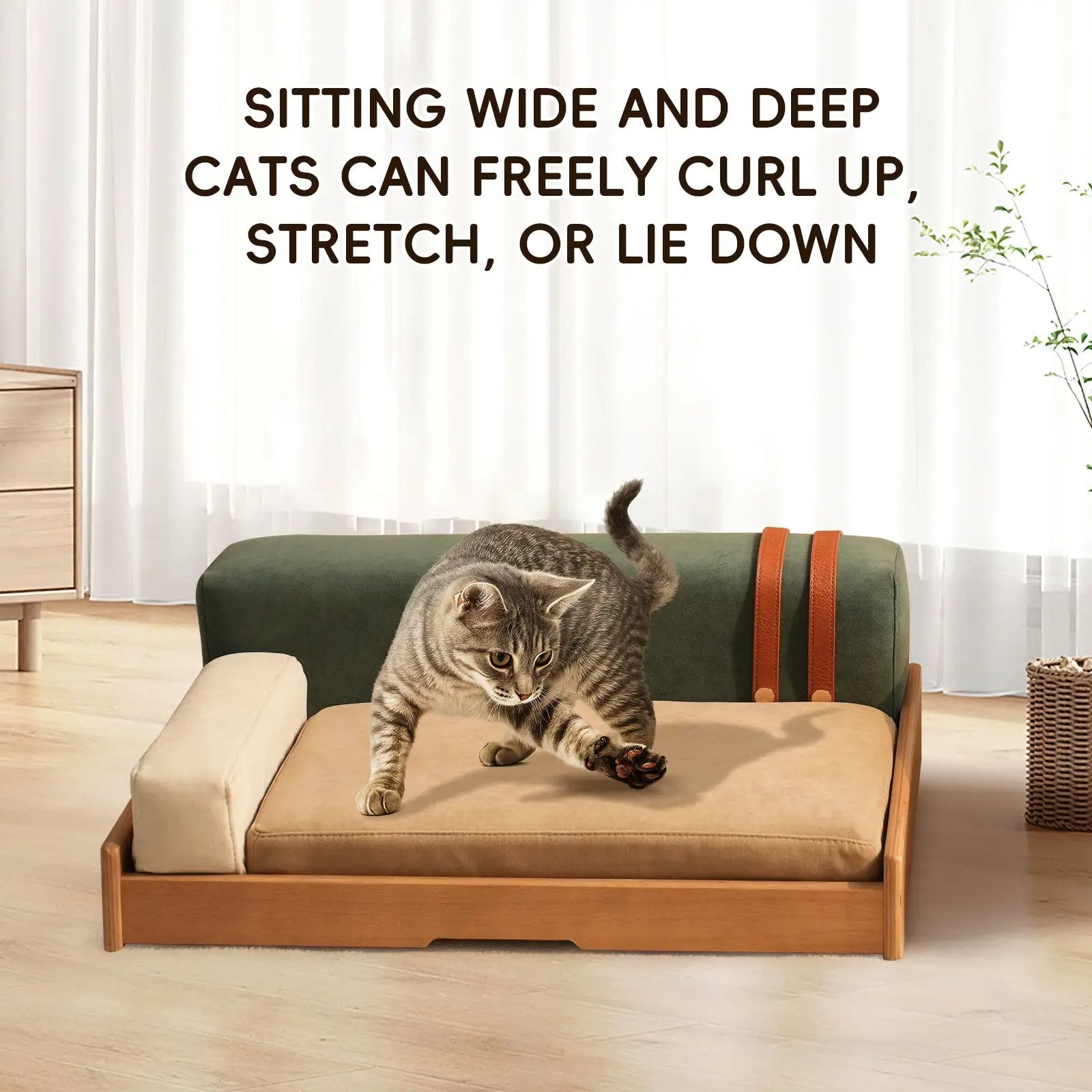 Modern Wooden Pet Bed for Cats and Dogs by HouseOfZazla