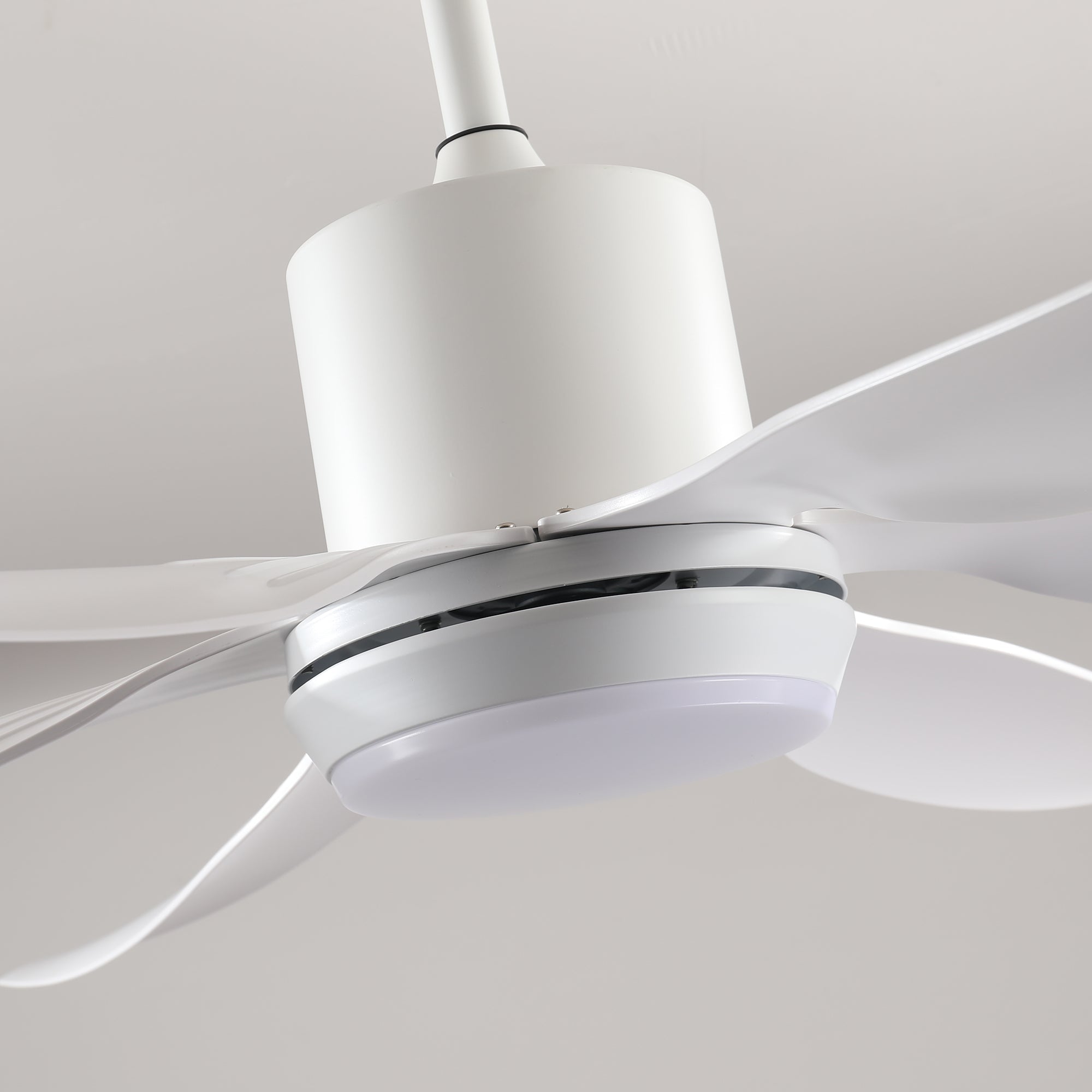 6 PCS ABS Blades 56" Ceiling Fan With Light Kit by HouseOfZazla