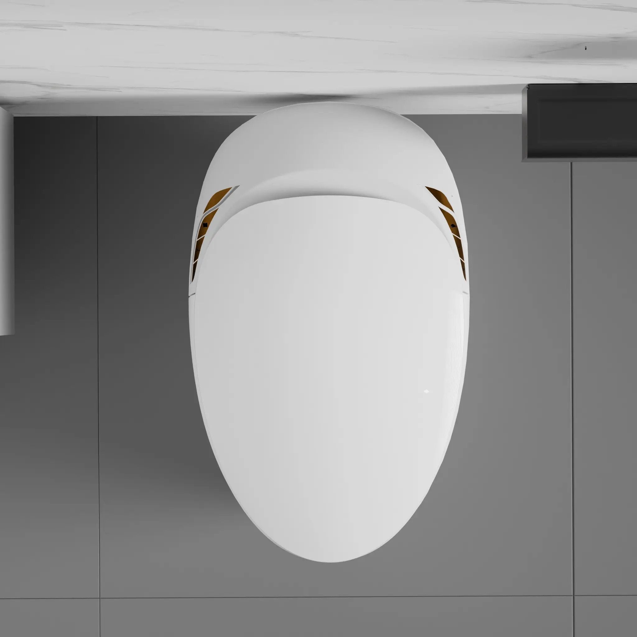 Unique Smart Toilet with Built-in Bidet by HouseOfZazla