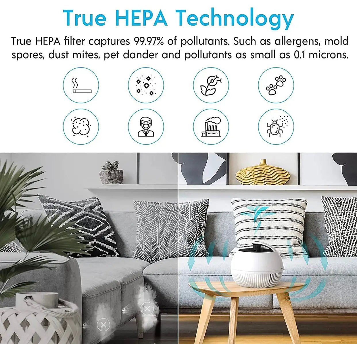 Air Purifier for Allergies, Air Choice True HEPA Filter Air Purifier, Remove 99.97% of Dust Smoke,Portable and 25dB Quiet Air Purifier by Outdoor Solar Outlet