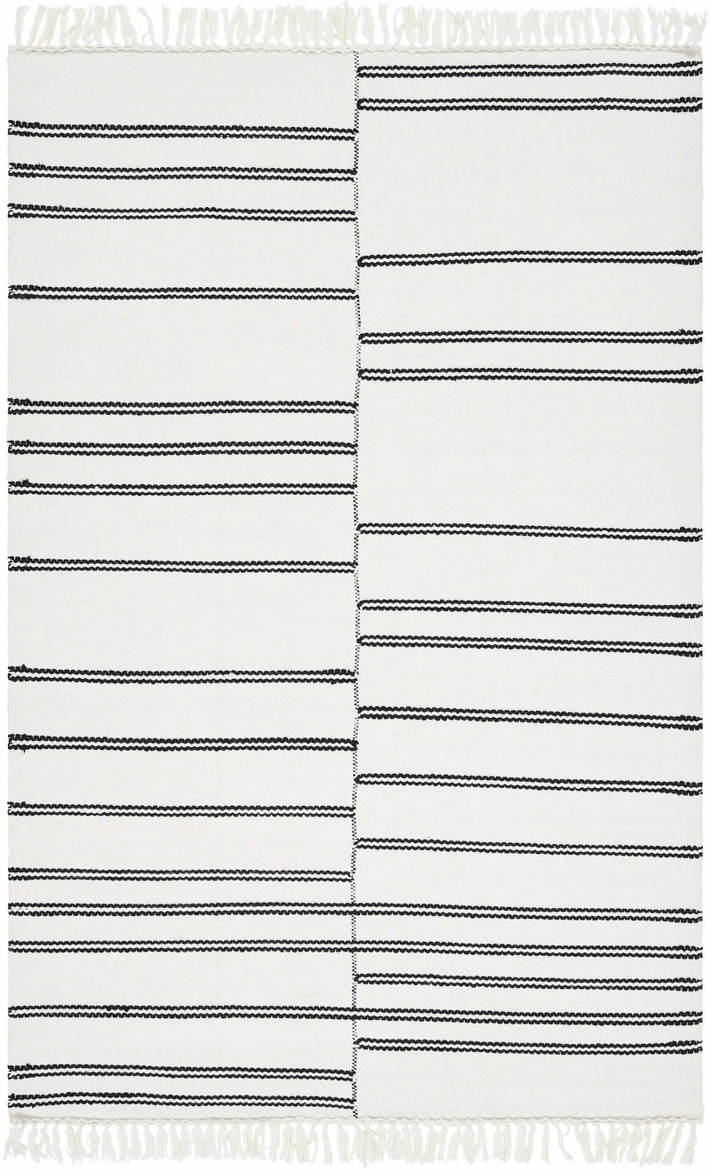 Akash Area Rug - Clearance by Boutique Rugs