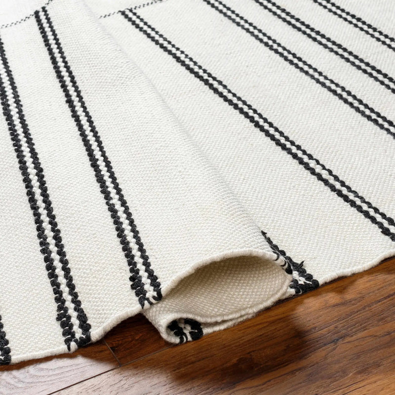 Akash Area Rug - Clearance by Boutique Rugs
