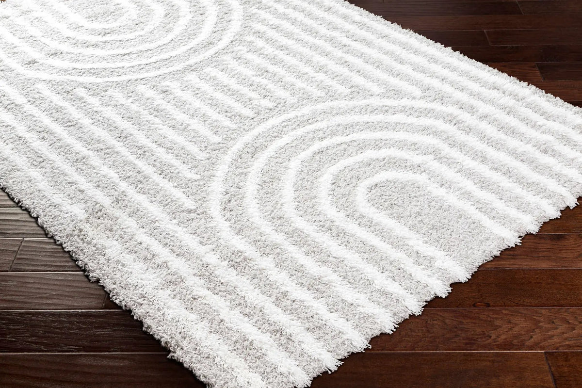 Akela Shag Area Rug - Clearance, photo 4 of 7