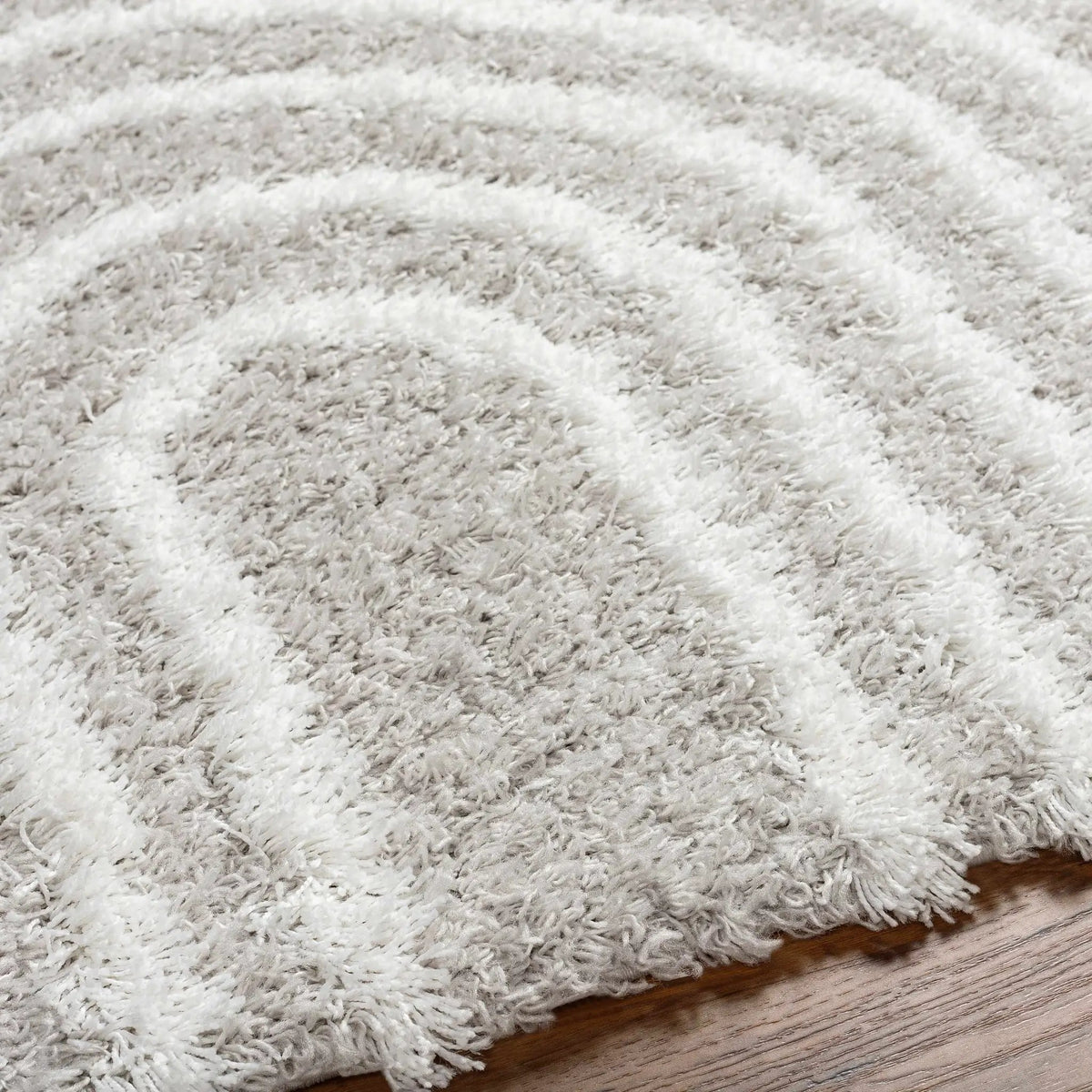 Akela Shag Area Rug - Clearance, photo 6 of 7