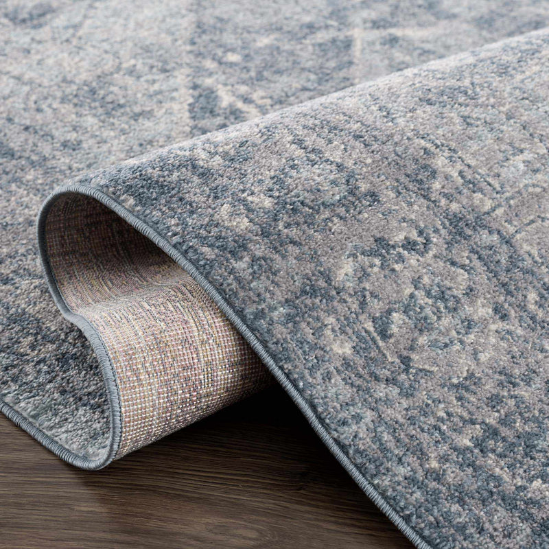 Peeta Blue Medallion Area Rug - Clearance by Boutique Rugs