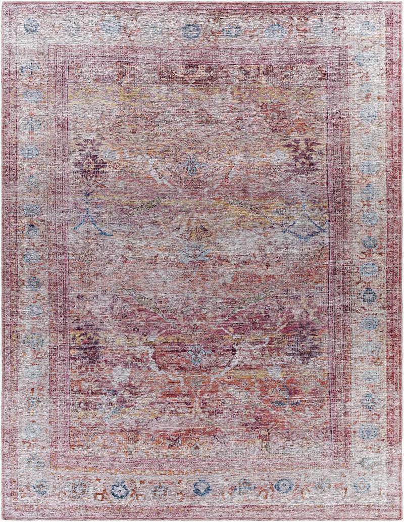 Alcoy Washable Area Rug - Clearance by Boutique Rugs