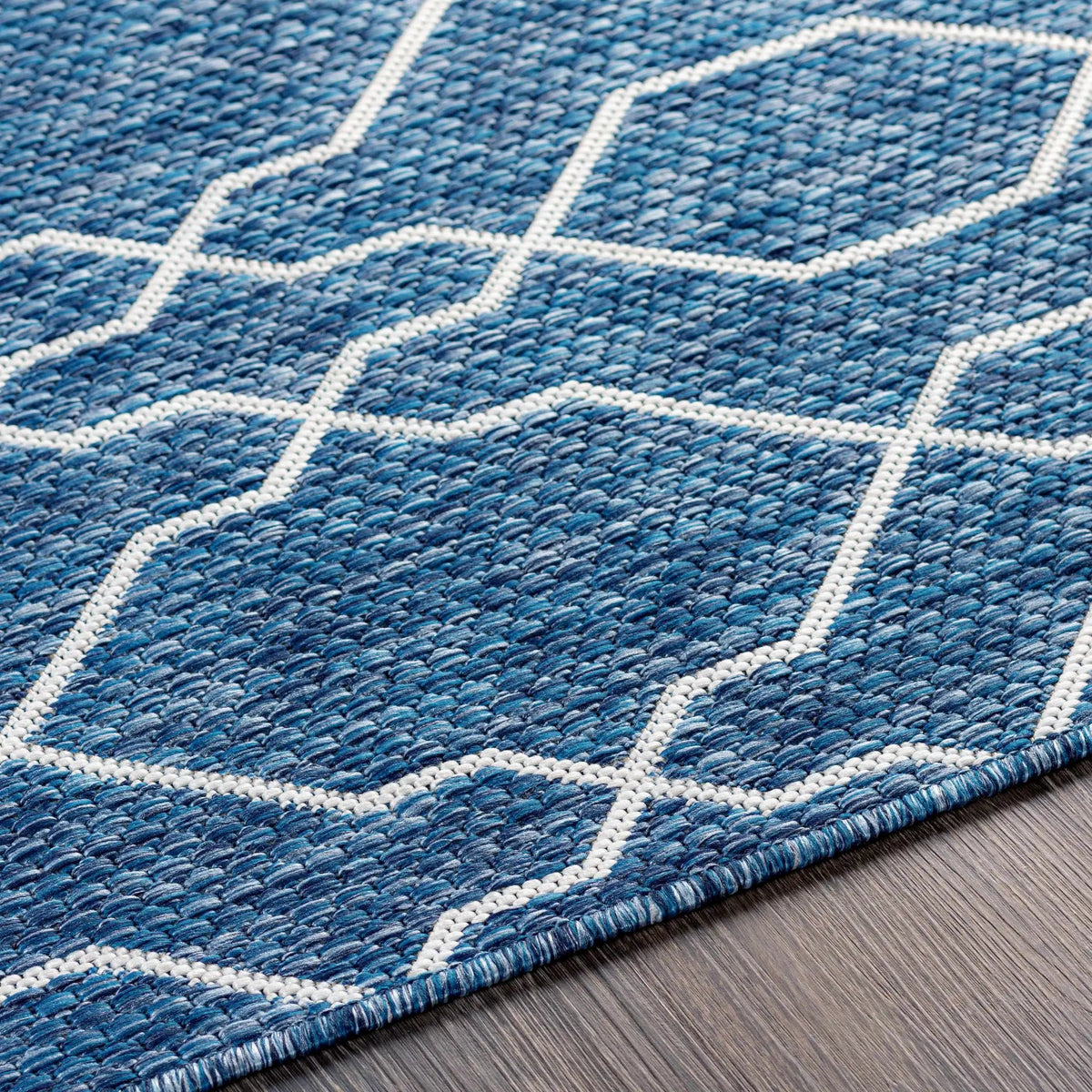Aldford Outdoor Area Rug - Clearance, photo 16 of 18